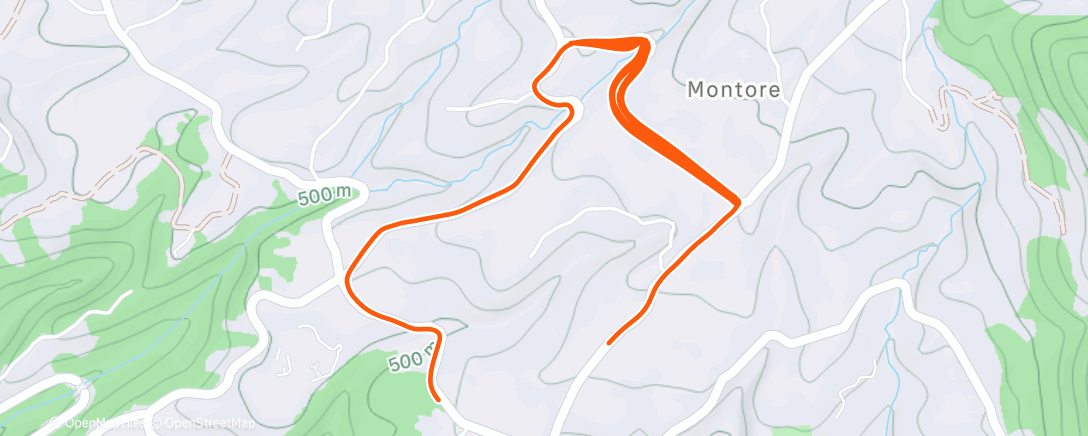 Карта физической активности (Corsa pomeridiana)