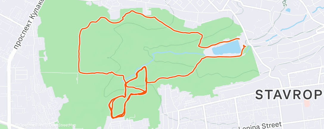 Map of the activity, Трейлраннинг (после обеда)