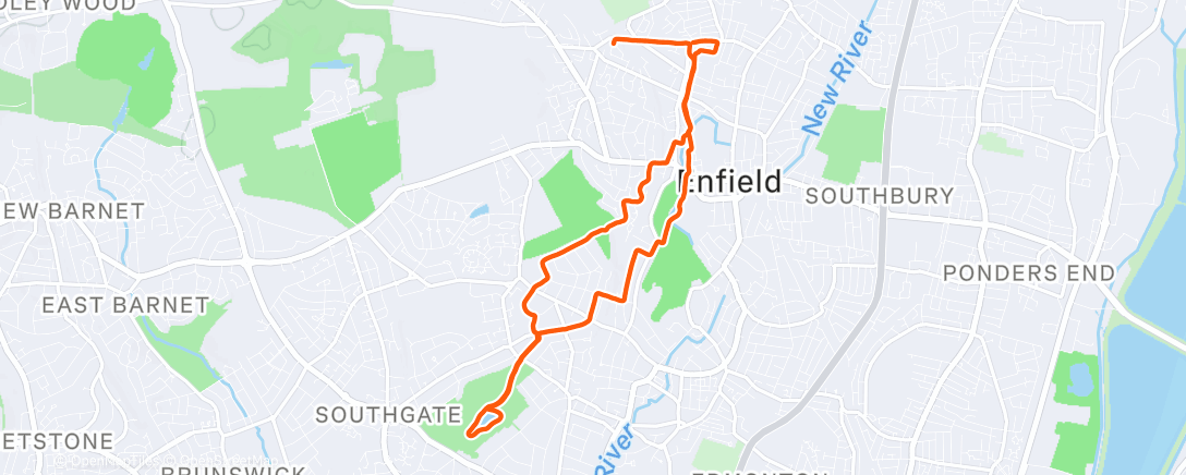 Карта физической активности (Morning Run with Lucy)