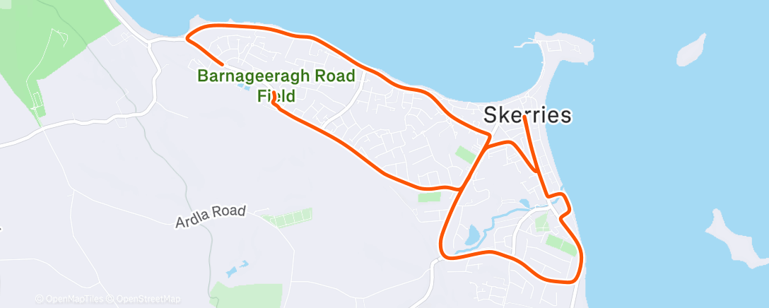 Map of the activity, First Cycle of 2026 🎉