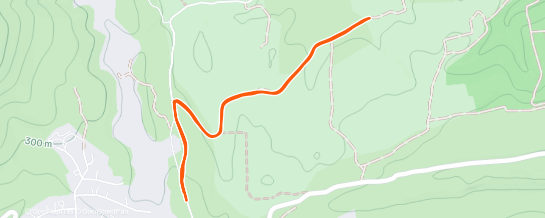 Map of the activity, Afternoon Run