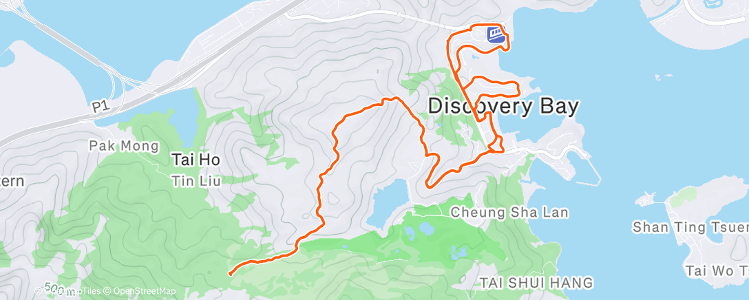 Карта физической активности (2x20min hill tempo to end the year 2025 🔥)