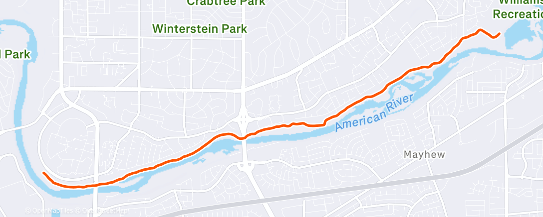 Карта физической активности (Sunday Funday)