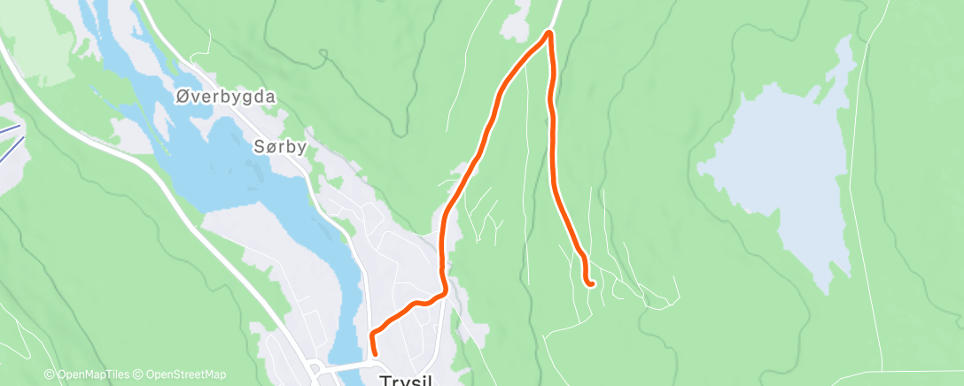 Карта физической активности (Evening Walk)