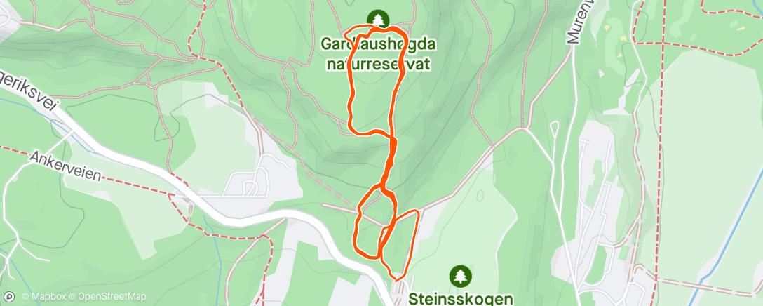 Carte de l'activité En time i Gardlaushøgda