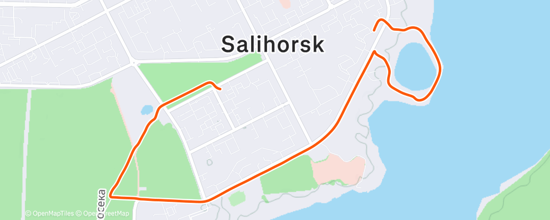 Карта физической активности (Evening Walk)