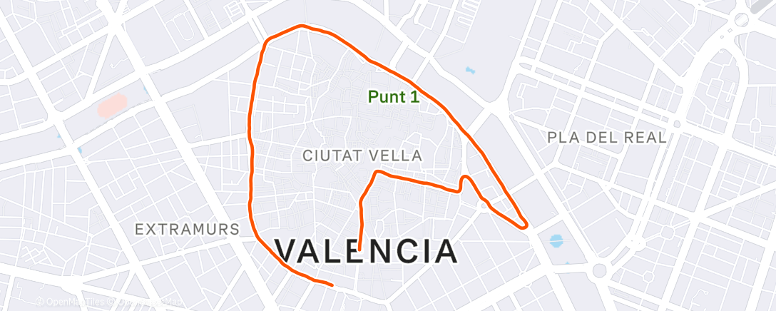 Карта физической активности (San Silvestre 2025)