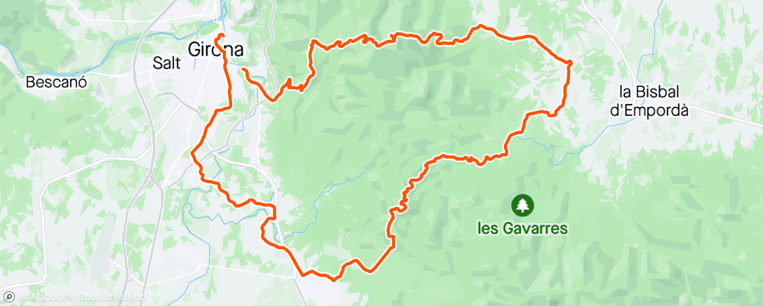 Map of the activity, Cat ride 🐈