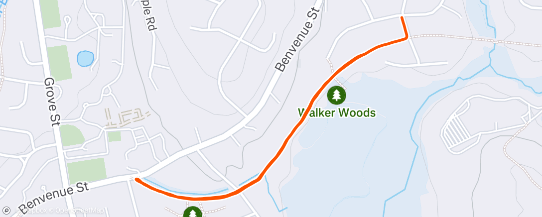 Map of the activity, Morning Walk