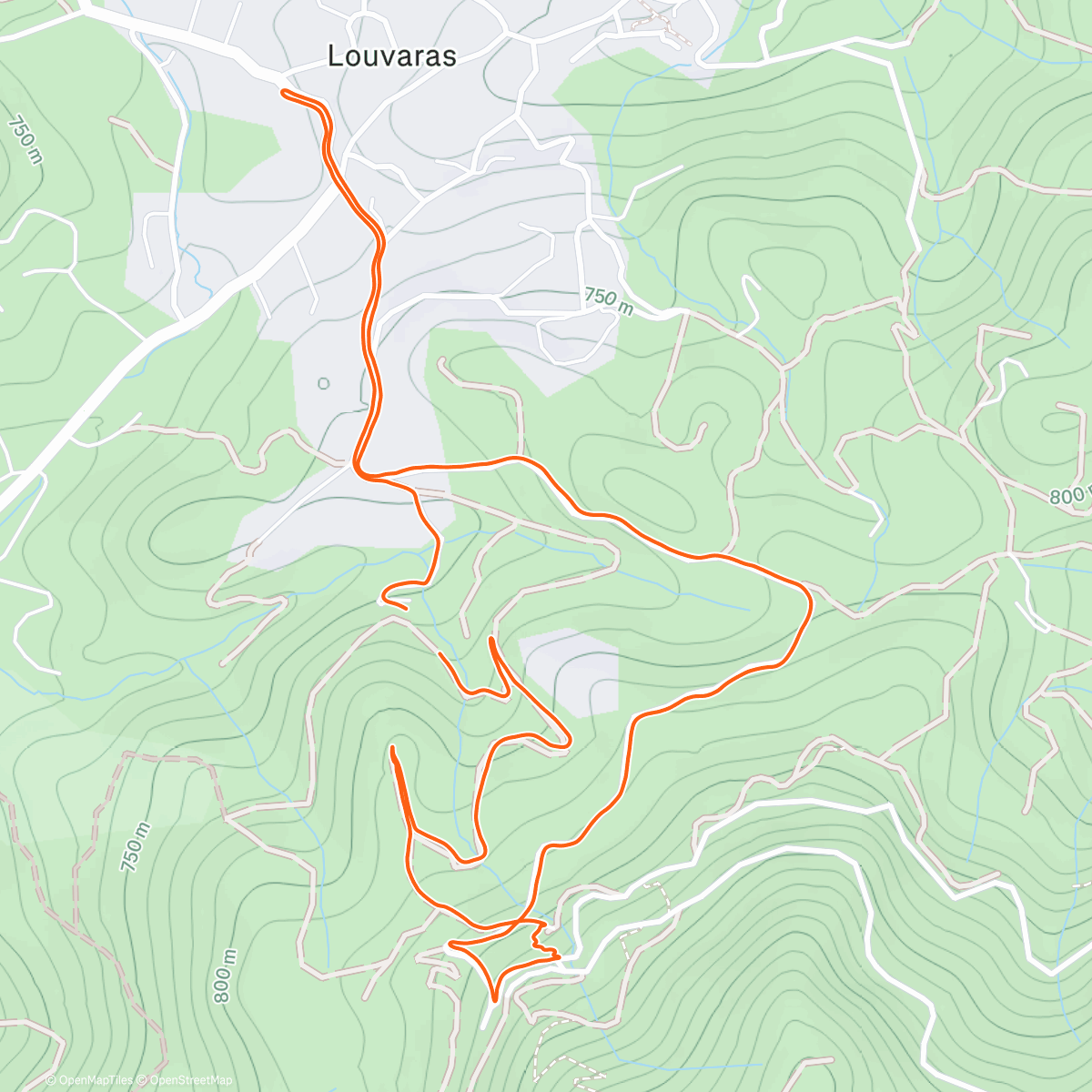 Map of the activity, Morning Run