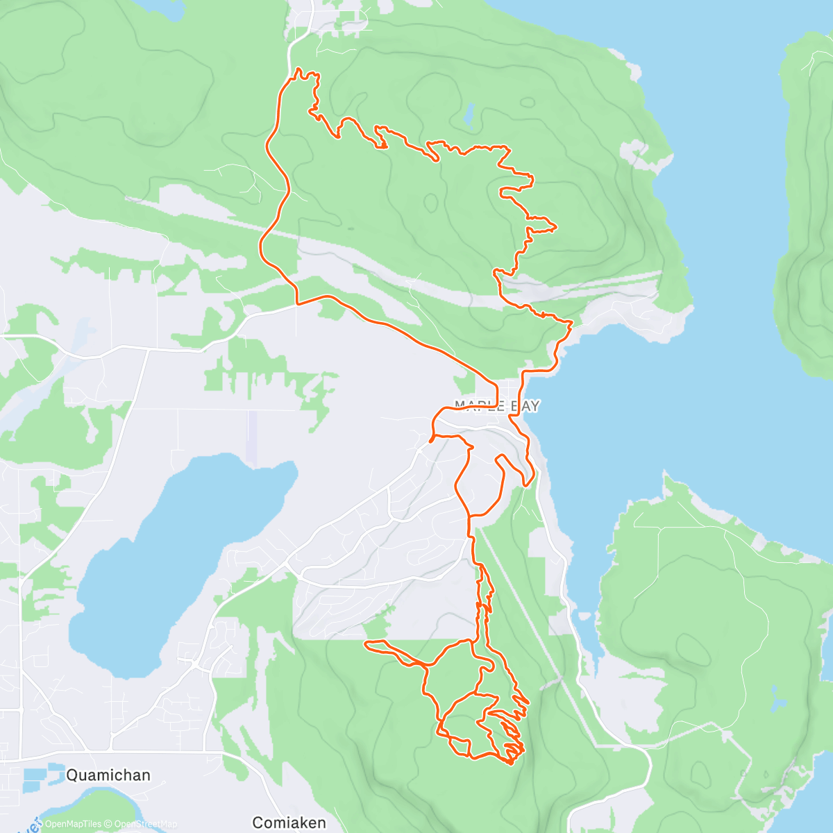 Map of the activity, g damn