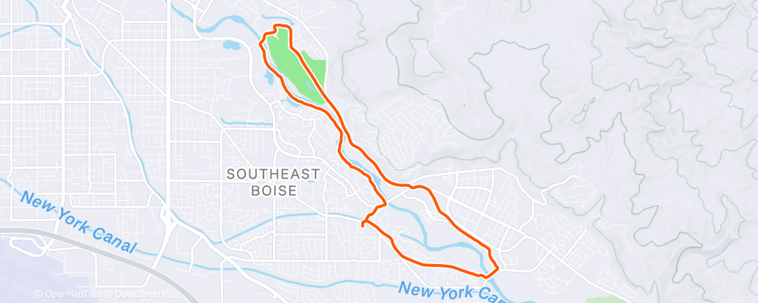 Map of the activity, First one back from flu