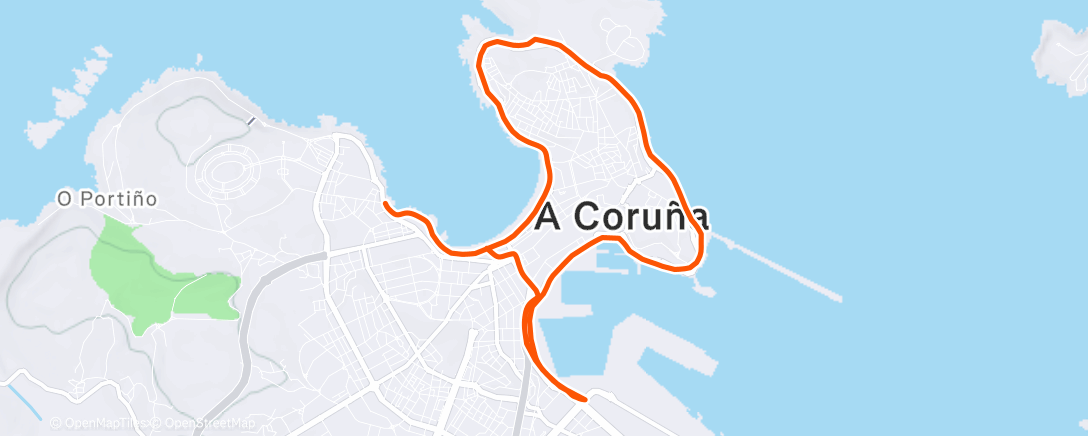 Карта физической активности (Evening Run)