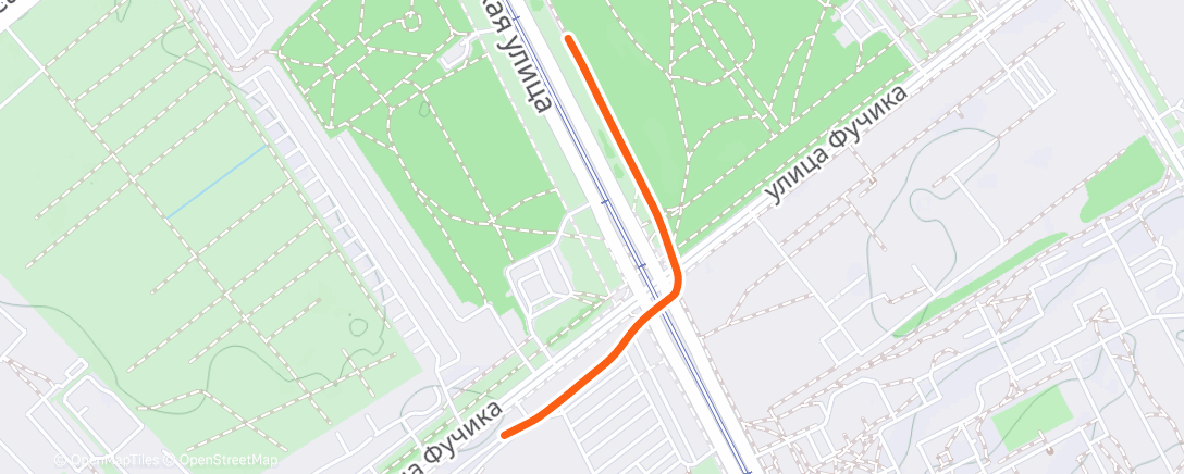 Карта физической активности (Утренний забег)