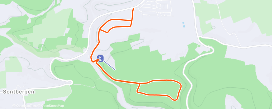 Карта физической активности (Spaziergang am Nachmittag)