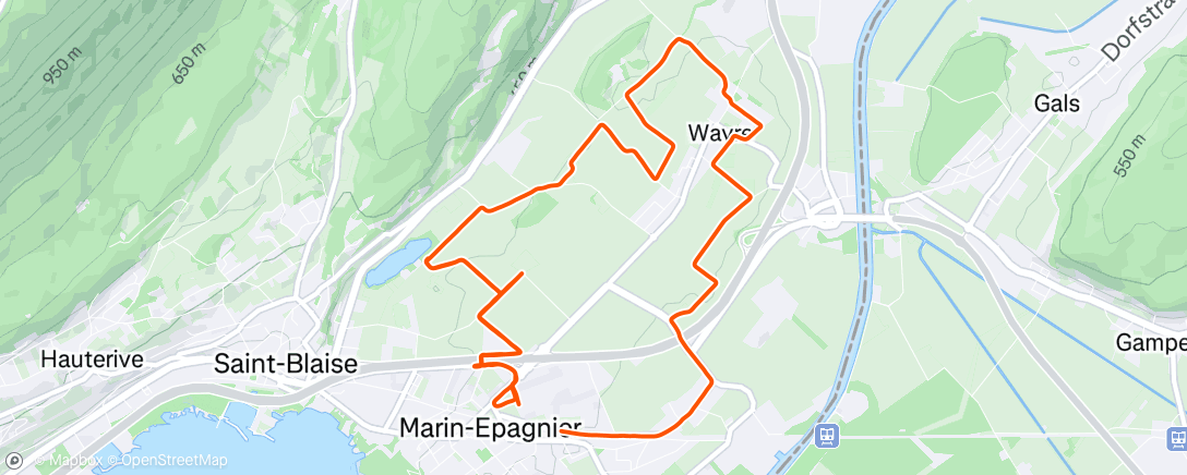 Map of the activity, Course à pied dans l'après-midi