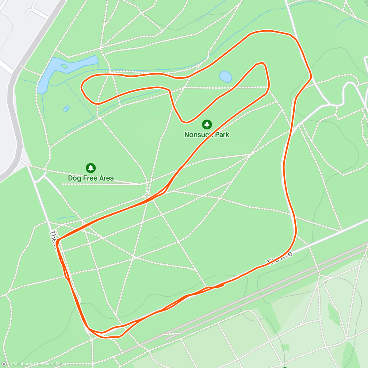 Map of the activity, Nonsuch parkrun ☀️