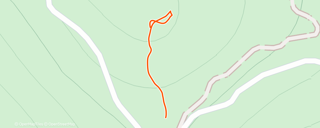 Map of the activity, Morning Walk