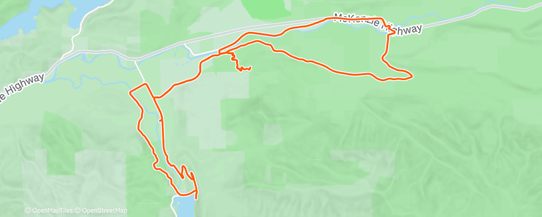 Map of the activity, Trees down!