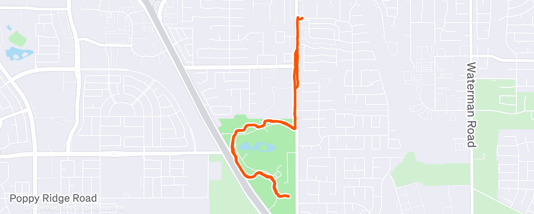 Map of the activity, Evening Run