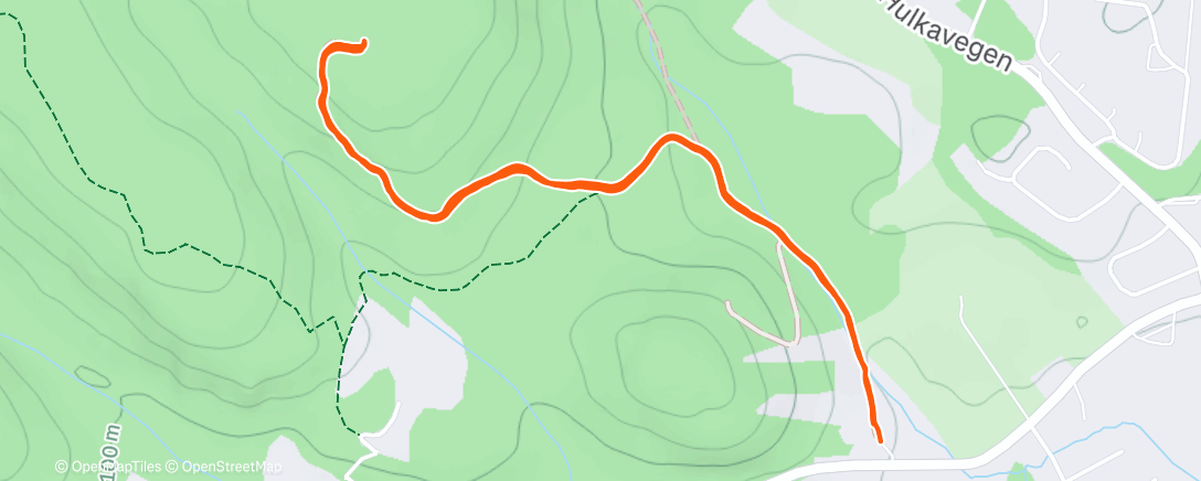 Карта физической активности (Afternoon Trail Run)