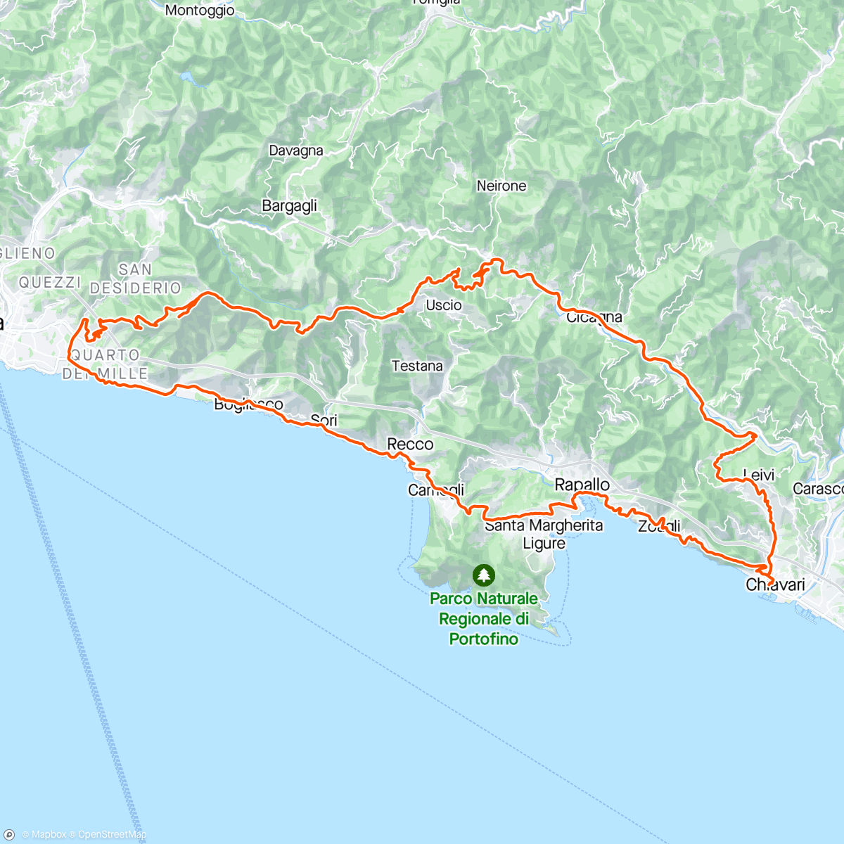 Map of the activity, QD Ligurien E2