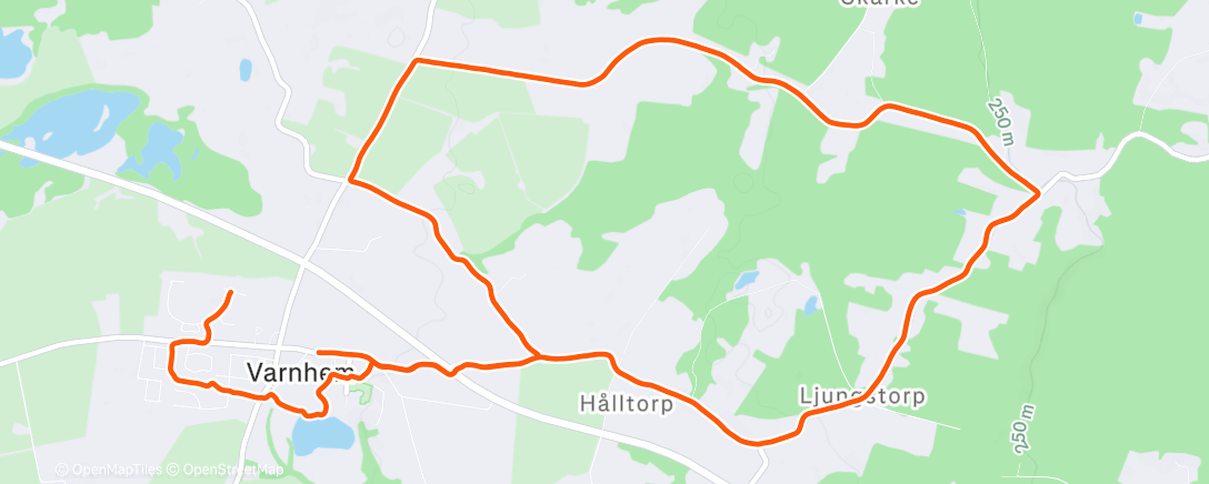 Map of the activity, Evening Trail Run