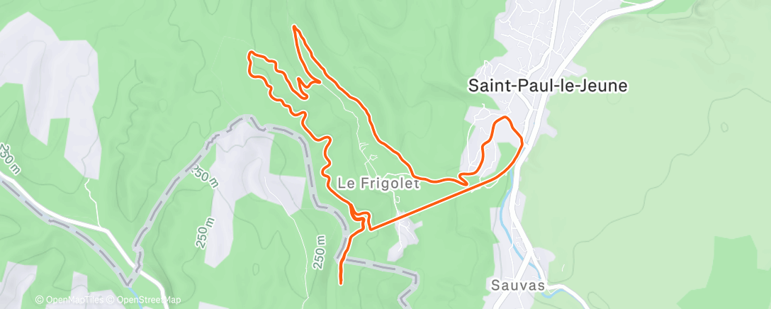 Carte de l'activité Course à pied dans l'après-midi