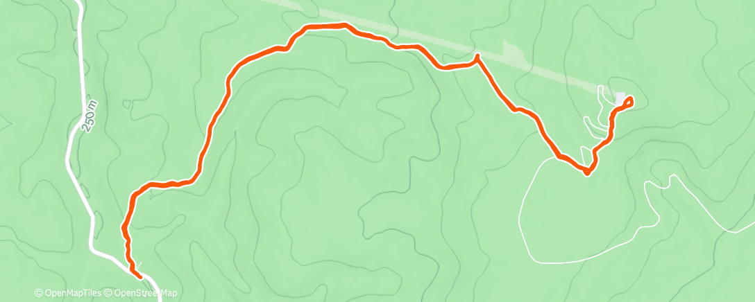 Карта физической активности (Afternoon Run)