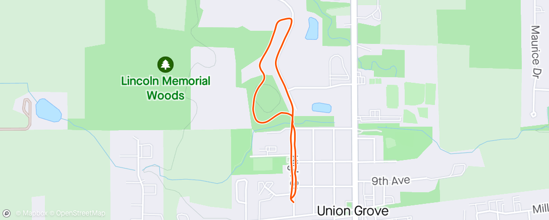 Map of the activity, Walking Dog and Kids