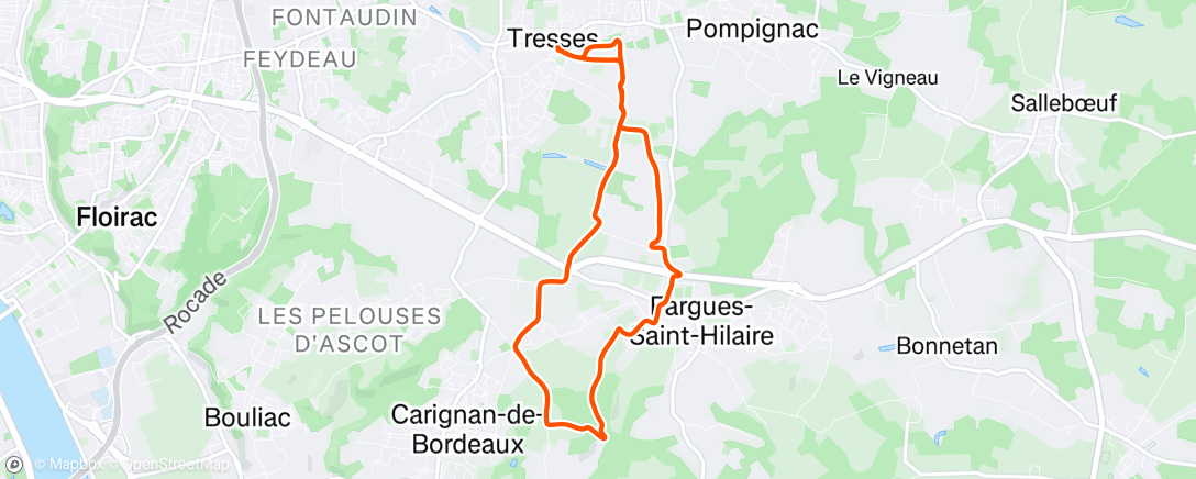 Map of the activity, Course à pied à Oasis avec les personnes de tresses running