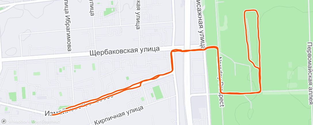 Map of the activity, Evening Run