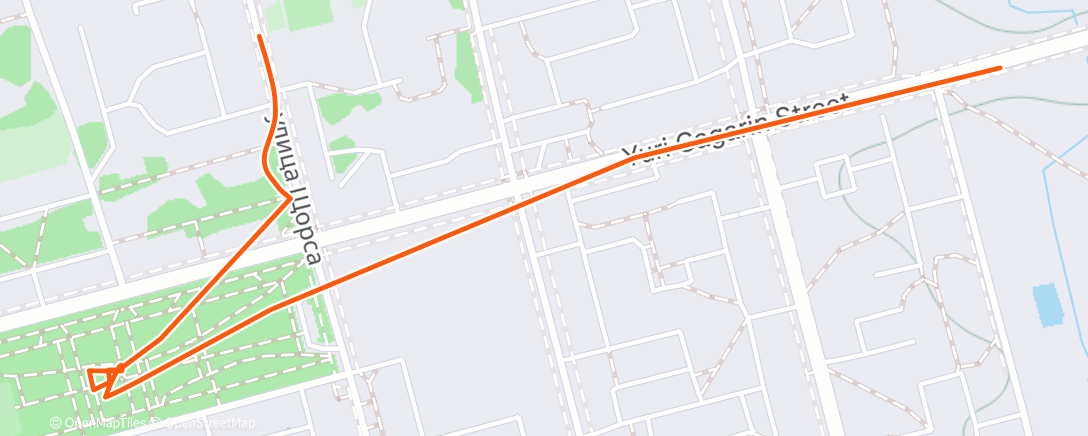 Mapa de la actividad (Afternoon Run)