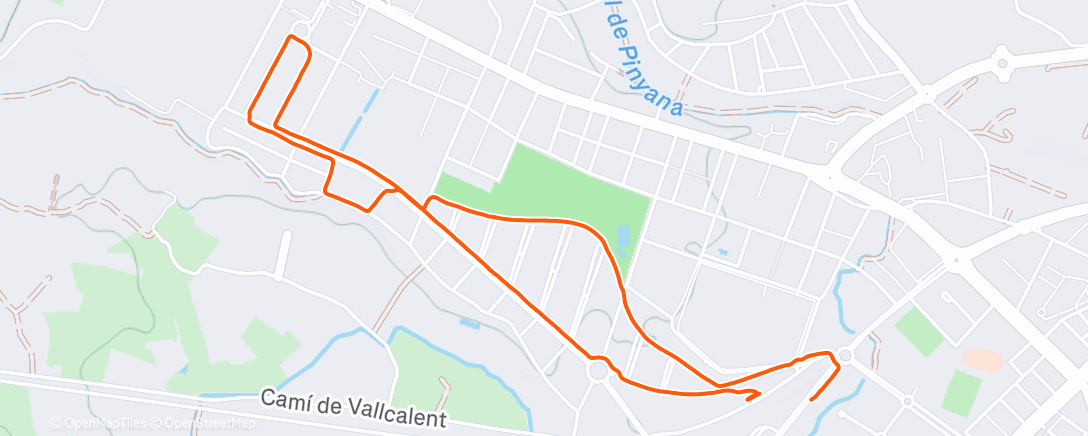 Карта физической активности (Evening Walk)