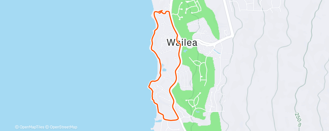 Map of the activity, Maui 2025 Walk 3