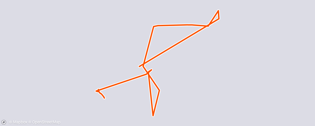 Map of the activity, Morning Run