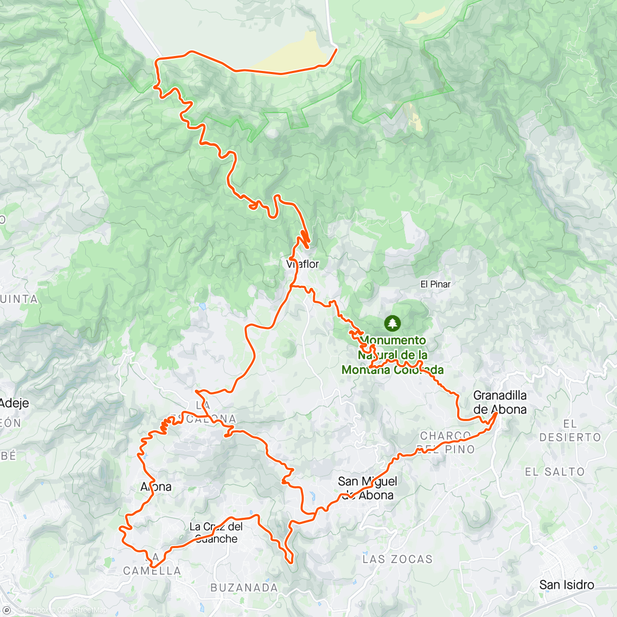 Damiano Caruso Strava Pro Cyclist Profile