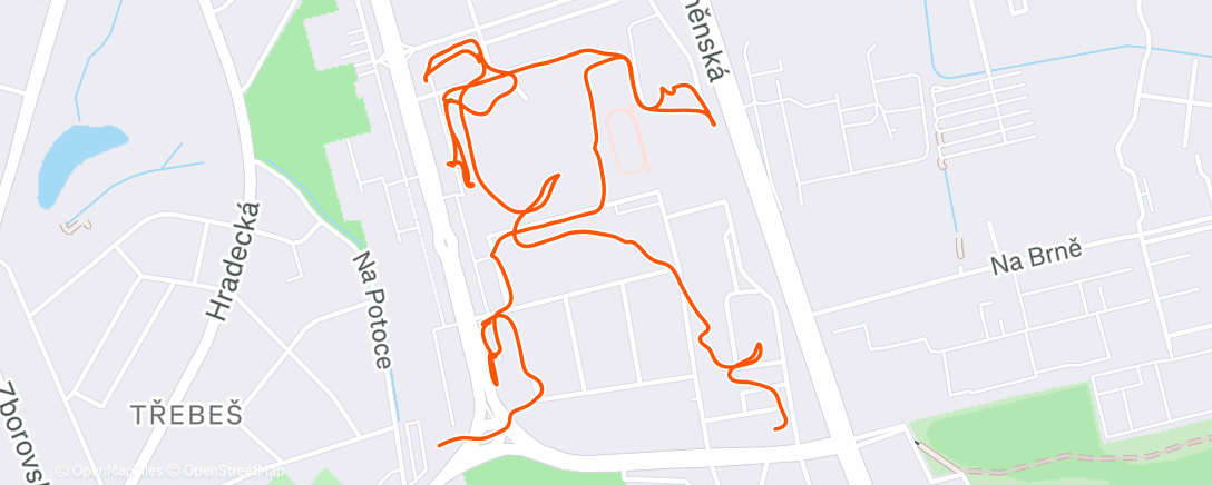 Map of the activity, Morning Run