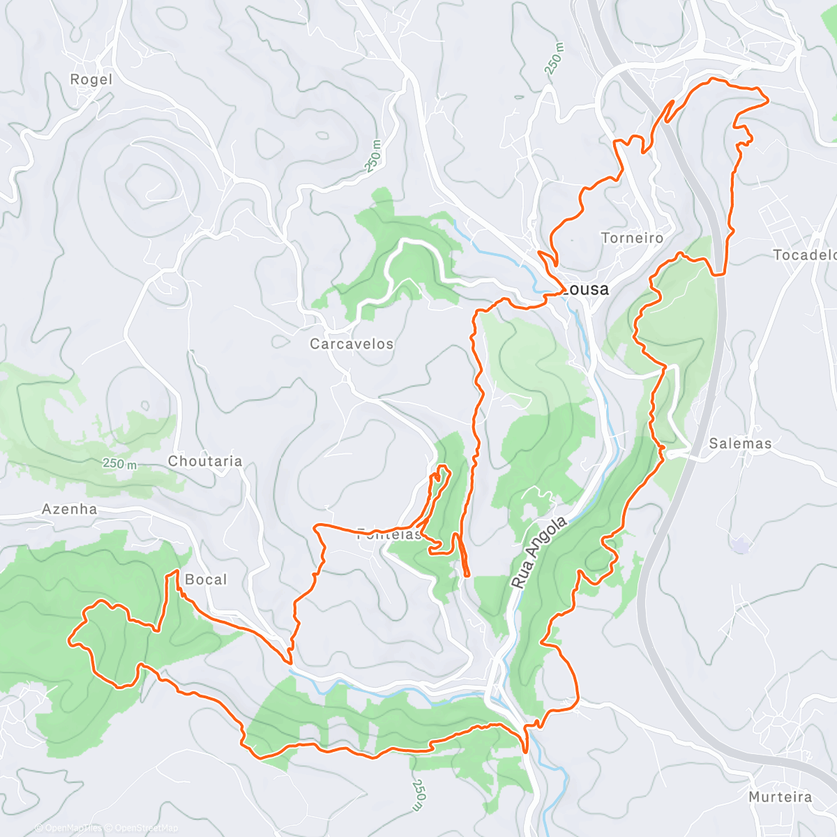 Mapa de la actividad (02-2026)