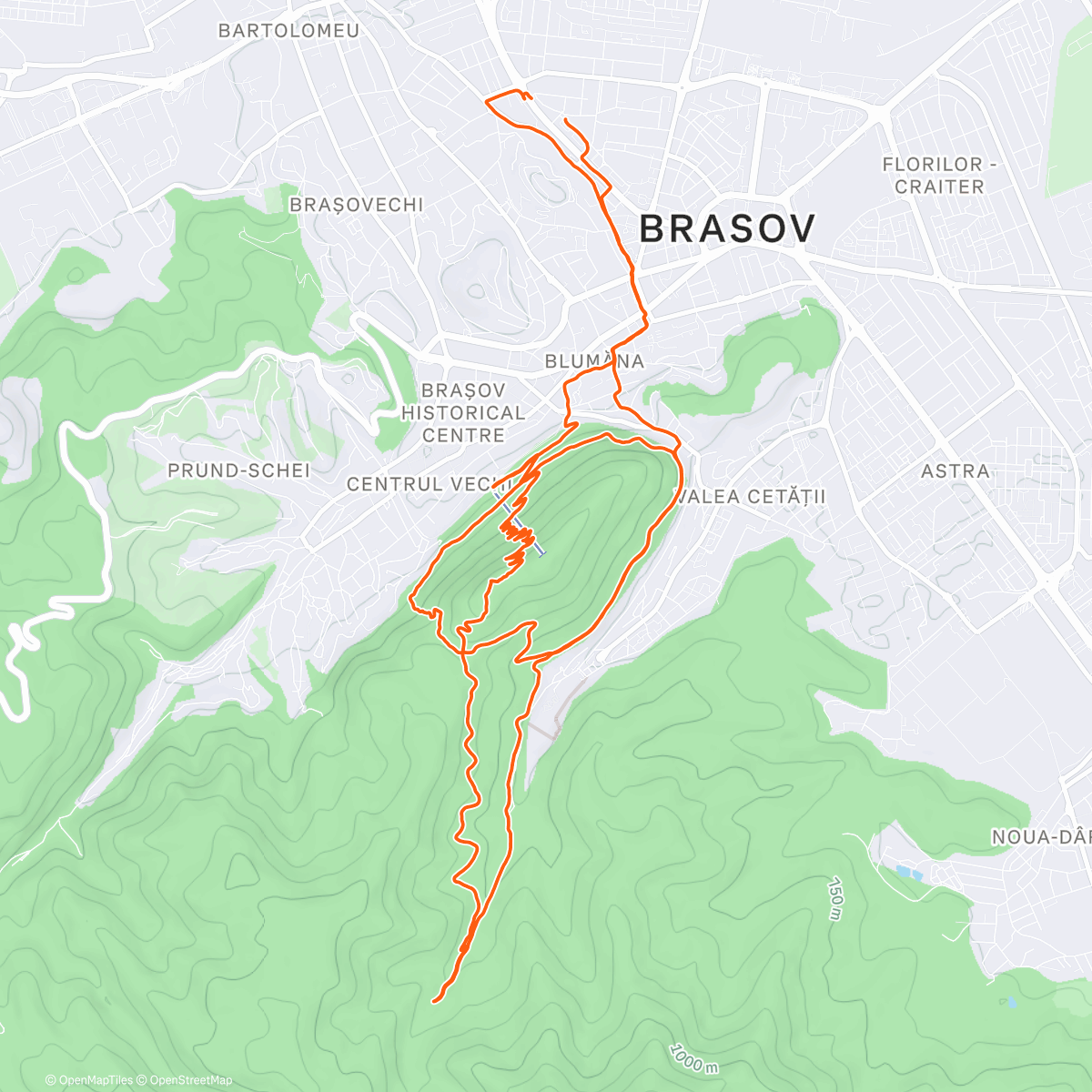 Карта физической активности (Morning Trail Run)