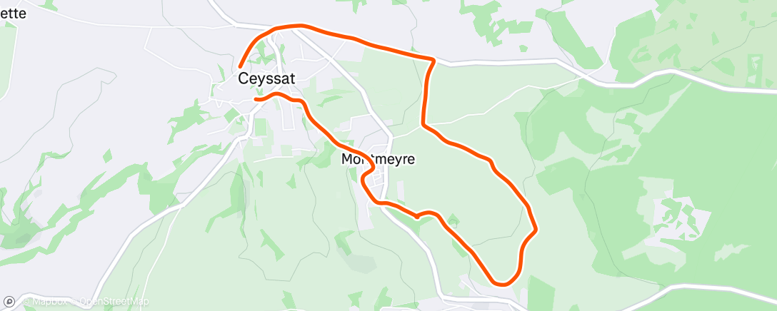 Map of the activity, Morning Run