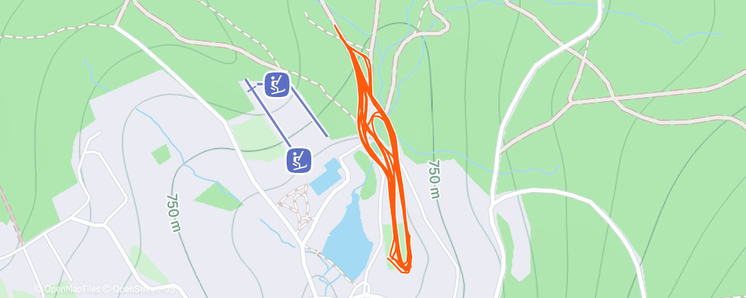 Карта физической активности (Lunch Nordic Ski)