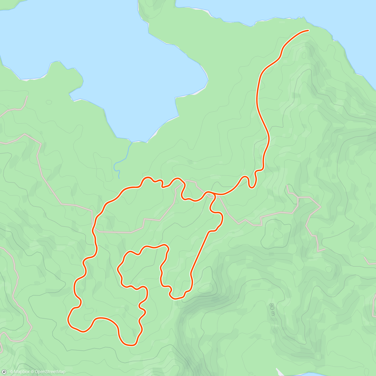 Mapa da atividade, Zwift - Jungle Circuit in Watopia
