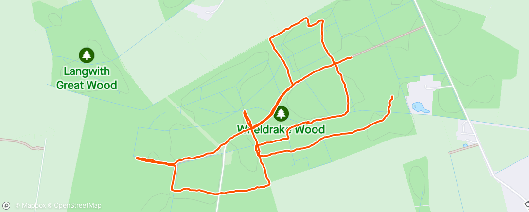 Map of the activity, Wheldrake Woods