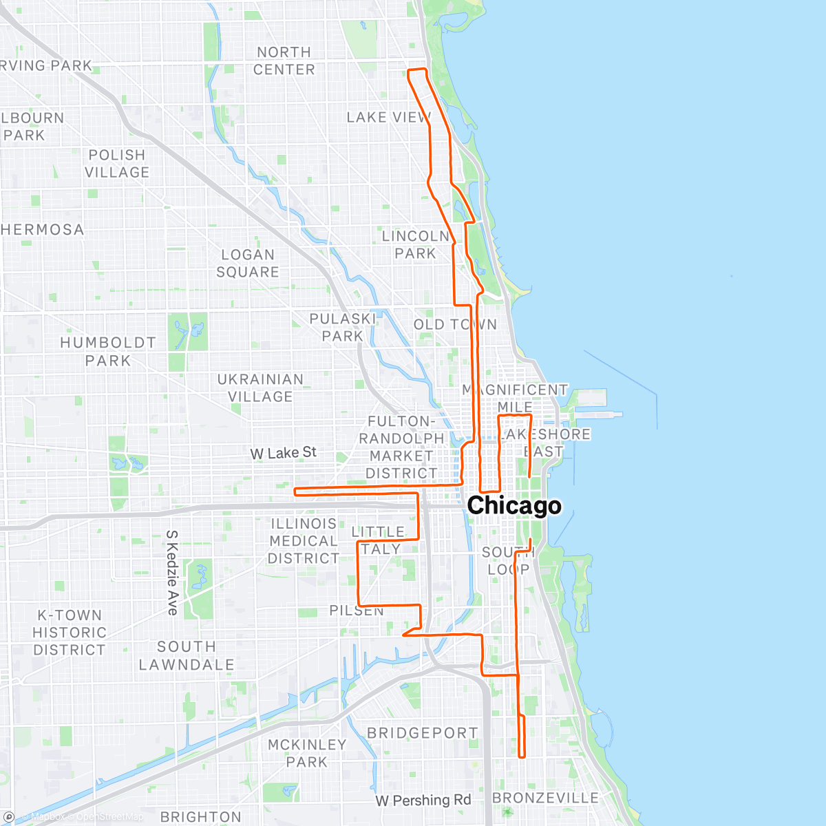Map of the activity, 2025 Chicago Marathon