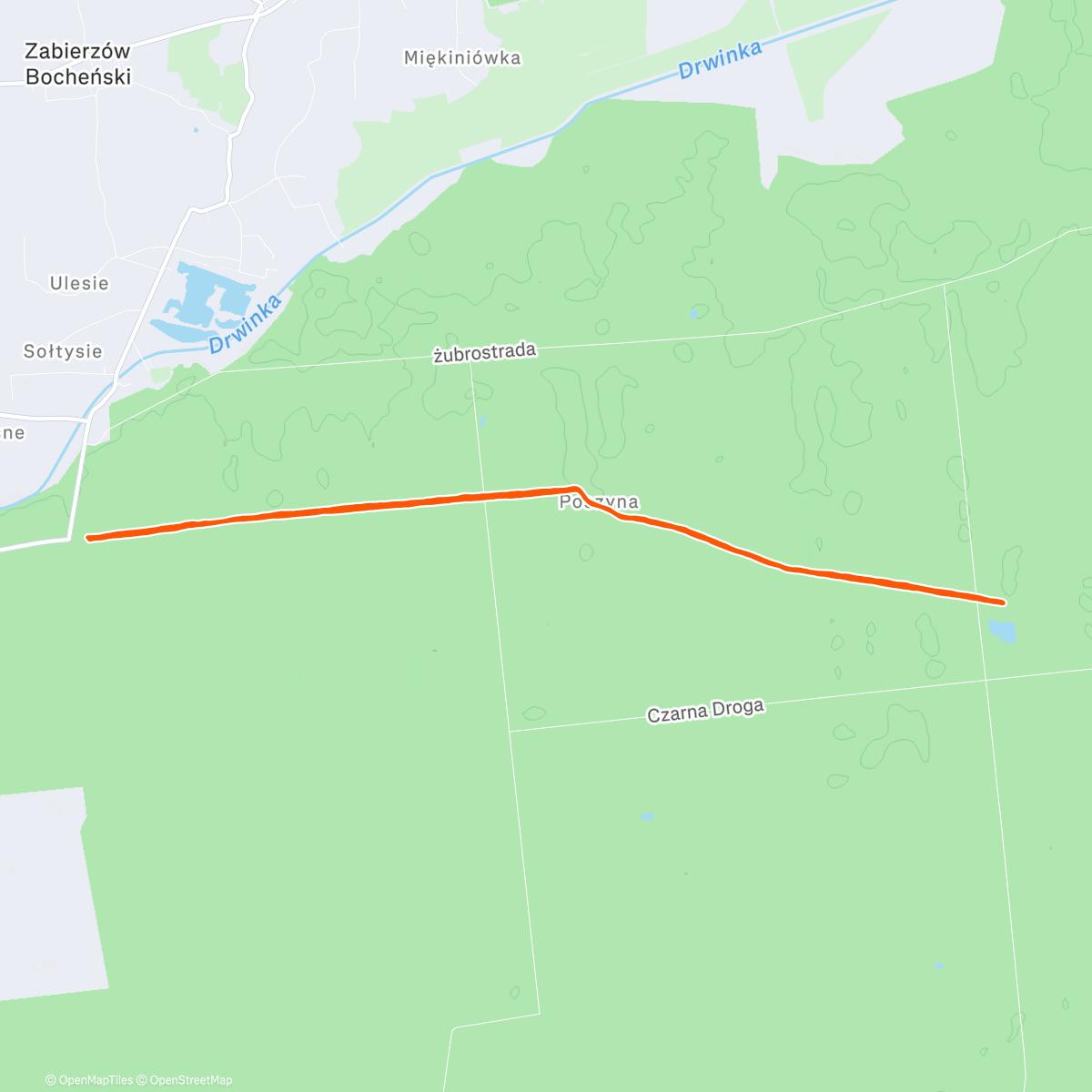 Map of the activity, 🎄 XIV Opłatek biegowy nad Czarnym Stawem w Puszczy Niepołomickiej 🏃🏃‍♀️ - [21.12.2025]