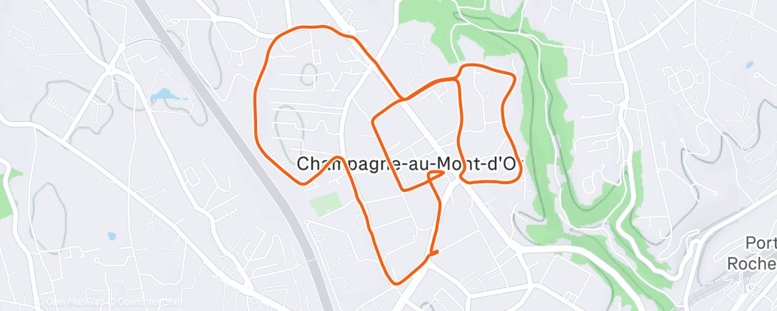 Карта физической активности (Bonne sortie solo à bon rythme - un vrai temps lyonnais 🙄 -2 degrés et brouillard 🌫️ mais ça fait du biiiennn 😉🍾🥂)