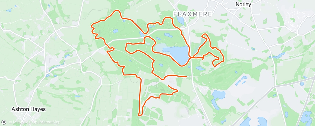 Map of the activity, Morning Run