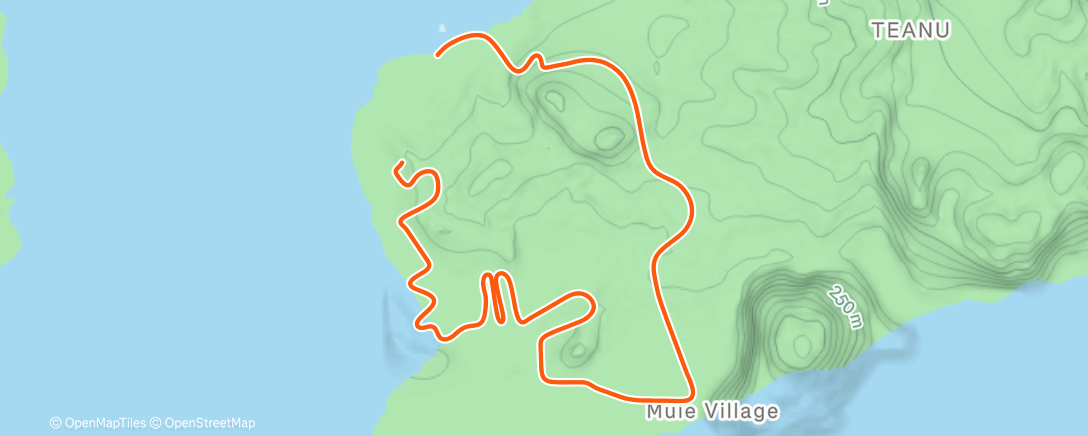 Map of the activity, Zwift - Flat Route in Watopia