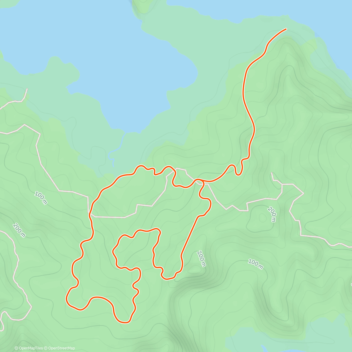 Map of the activity, Zwift - 222 on Jungle Circuit in Watopia